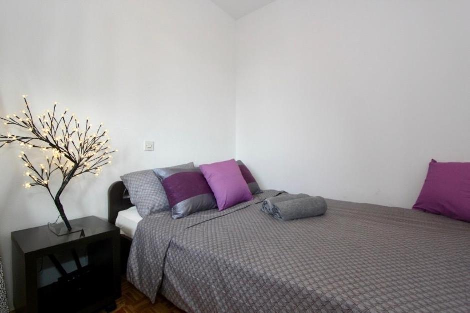 בלגרד Cezar Apartment מראה חיצוני תמונה